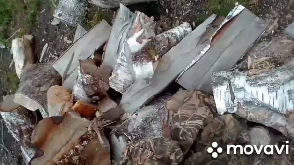 Русские коровы