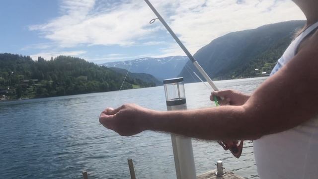 Рыбалка с причала на донную снасть,Ulvik,Norge. смотреть онлайн