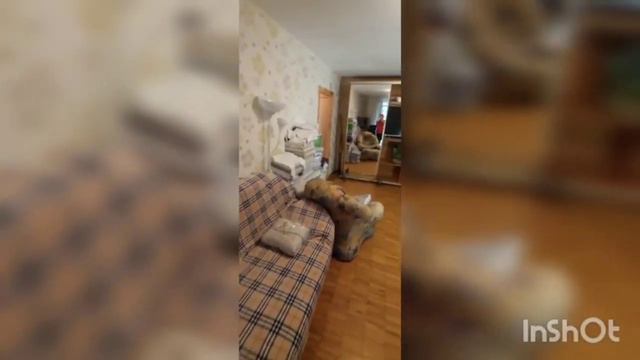 г.Москва , ул. Озерная 19к1 смотреть онлайн