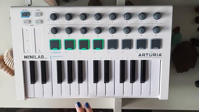 Pumped up kicks - Foster the People | Arturia Minilab MK2 смотреть онлайн