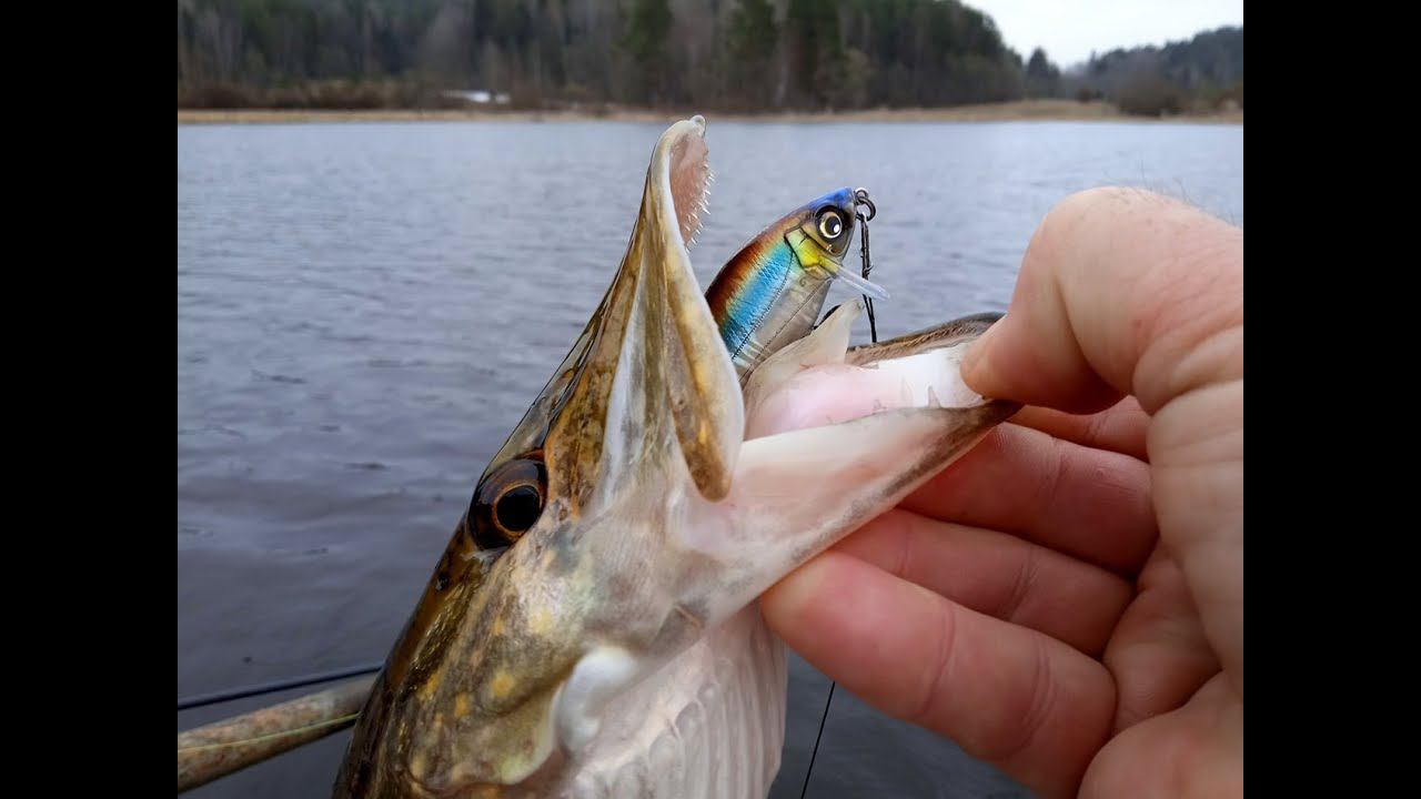 Лучший кренк для мели. Обзор Yo-Zuri Hardcore X Surface Crank 65F. смотреть онлайн