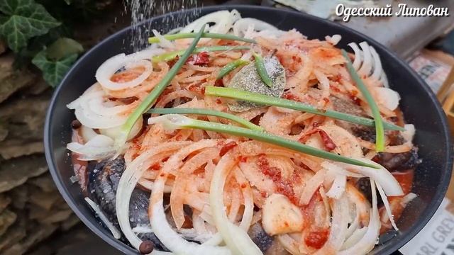 Жизнь на Планете Земля в Цвете