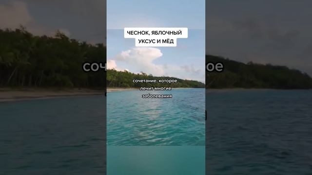 чеснок, яблочный уксус и мёд. #народнаямедицина #народныерецепты #долголетие #народныесоветы смотреть онлайн
