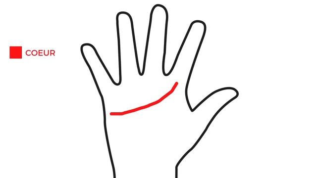 Comment Lire Les Lignes de La Main ? смотреть онлайн