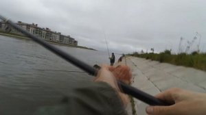 КАРАСЬ НА 1КГ. НА ДУДЕРГОФСКОМ КАНАЛЕ, ФИНСКОМ ЗАЛИВЕ РЫБАЛКА НА КАРАСЯ, ЛЕЩА, ГУСТЕРУ И ПЛОТВУ 202