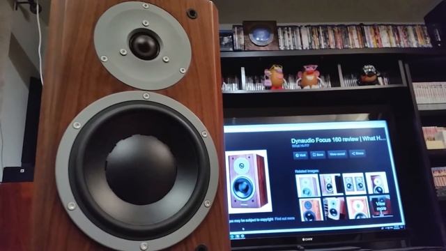 Stereo - Dynaudio Focus $3000 high-end bookshelf speaker review !!! смотреть онлайн