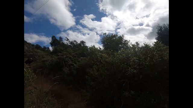 SCOTT SCALE 970  - 20 Julio 2021