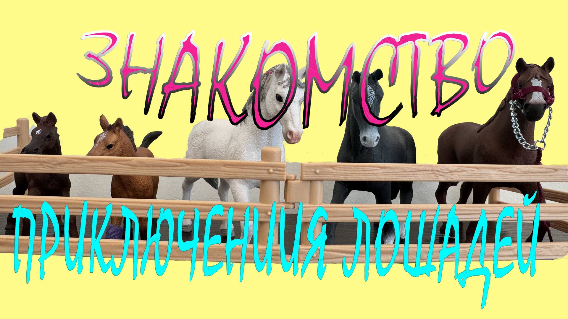 Приключение лошадей, Часть 3, Знакомство