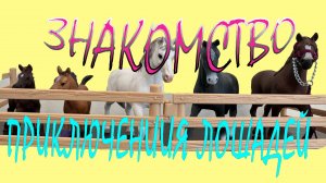 Приключение лошадей, Часть 3, Знакомство