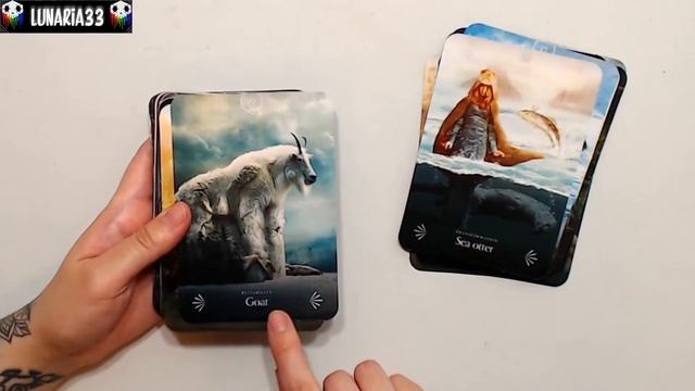 Divine Animals Oracle Review | Deck Flip Through смотреть онлайн