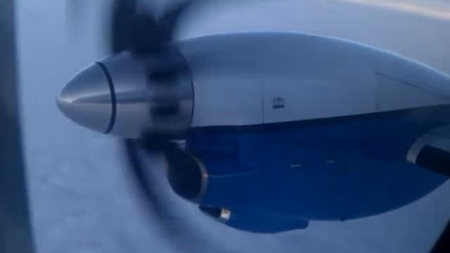 Гравицапа.3gp смотреть онлайн