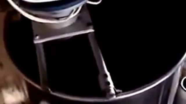 Телёнок--как вырастить. смотреть онлайн