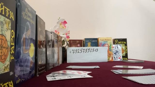 ЖДАТЬ ДАМЕ♥️ ПОЗДРАВЛЕНИЕ ОТ КОРОЛЯ ♣️❓ смотреть онлайн