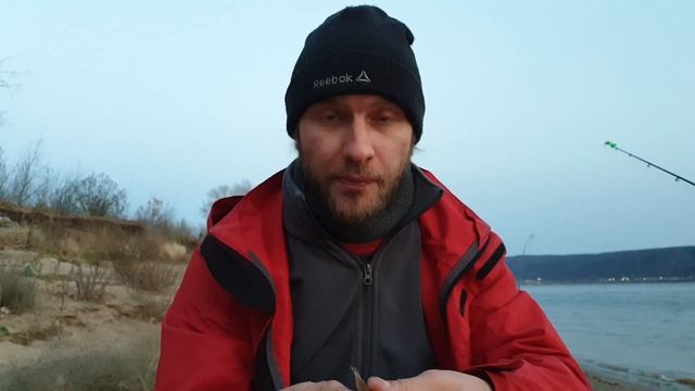 Налим Судак Берш на тюльку легко! Что и как ловить на донку, рыбалка на Волге осенью в ноябре 2020 смотреть онлайн