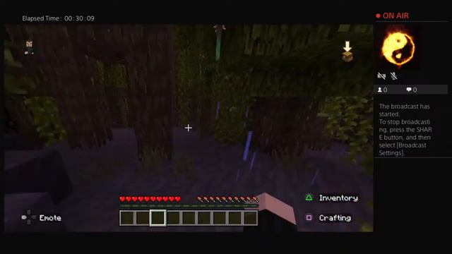 Minecraft Newest version experienced gameplay l old-fashioned player смотреть онлайн
