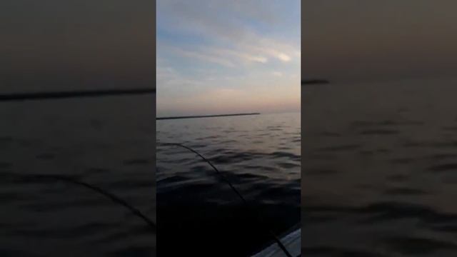Рыбинск-море восход...Солар 310 ямаха5 смотреть онлайн