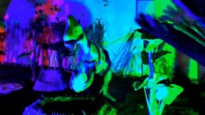 Парк динозавров. ДиноПарк Рекс в Воронеже. Динозавры как настоящие. Видео для детей. DINO PARK