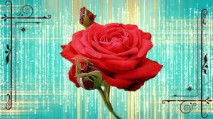 Футаж. Цветочный фон 176