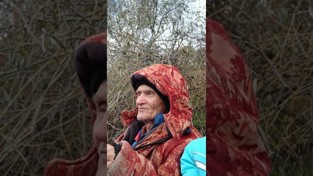Веселые истории от папы смотреть онлайн