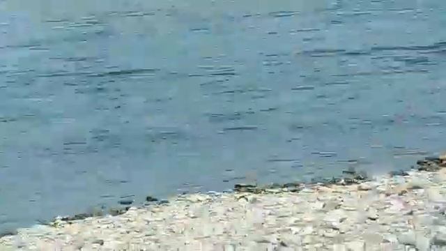 Магаданская рыбалка.2021г.Кижуч 7,5кг. смотреть онлайн