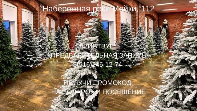 ШОУРУМ САНКТ ПЕТЕРБУРГ смотреть онлайн