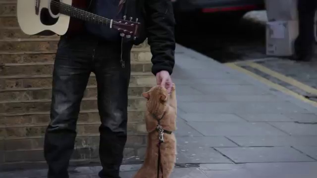 Un chat des rues nommé Bob смотреть онлайн