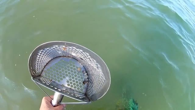 И так бывает! Нашел ЗОЛОТО под водой - вышел, а ЕГО НЕТ! Пляжный поиск скупом и металлоискателем! смотреть онлайн