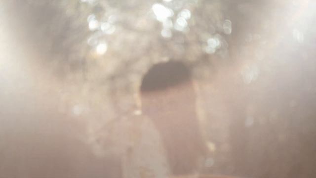 Taxodium Distichum Garden in Taiwan 台灣落羽松 | Travel Film 2019 смотреть онлайн