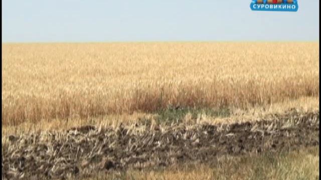 Урожаю поможет народная песня смотреть онлайн