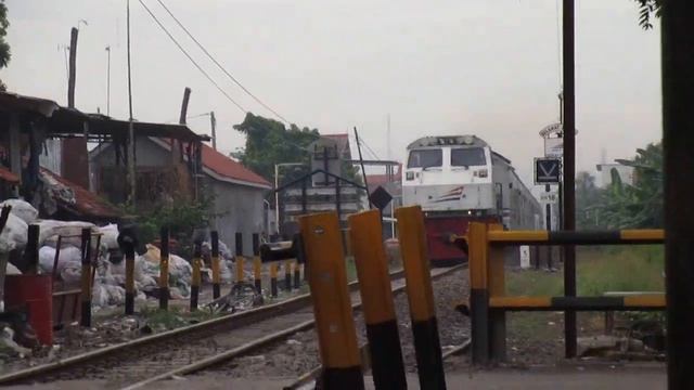 Canon Ixus 155 Zoom Testing смотреть онлайн