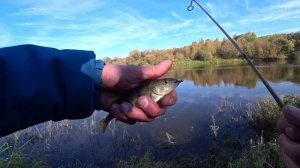 МОРМЫШИНГ!!! Как ловить на мормышку СПИННИНГОМ.