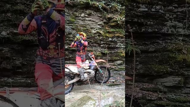 Ураганный ветер и падающие деревья. смотреть онлайн