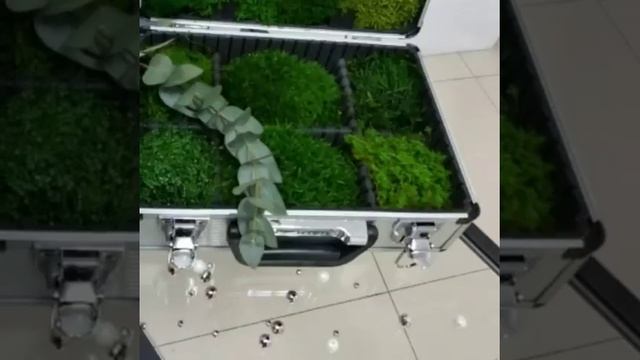 Стабилизированный мох и растения. смотреть онлайн