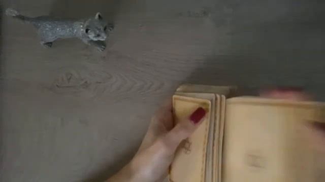 Таро Бесплатно Стрим ⚜️ смотреть онлайн