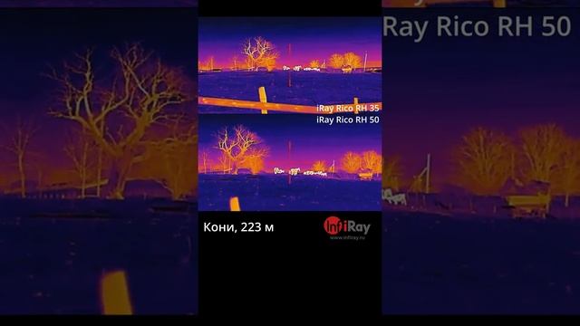 Тепловизионные прицелы - сравнение iRay Rico RH 35 и iRay Rico RH 50! Что лучше для охоты? смотреть онлайн