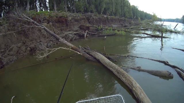 Поиск хищника в заводях! смотреть онлайн