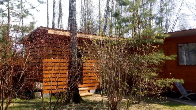 (85) Карантин на даче. Утро в сосновом лесу смотреть онлайн