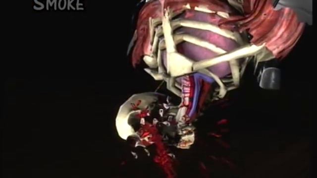 Mortal Kombat 9(2011):All Characters X-rays смотреть онлайн