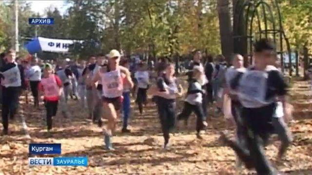 О спорте в Зауралье 15 сентября 2017 смотреть онлайн
