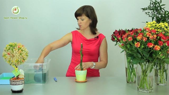 Как сделать топиарий из срезанных цветов! Мастер класс практической флористики. смотреть онлайн