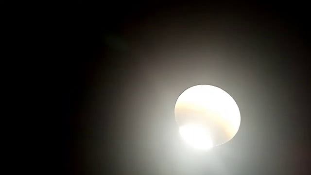 Охлаждение и овоскопирование куриных яиц. смотреть онлайн