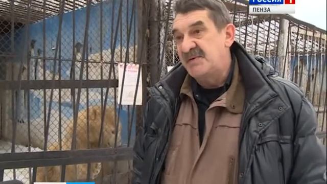 Пензенский зоопарк перешел на зимний режим работы смотреть онлайн