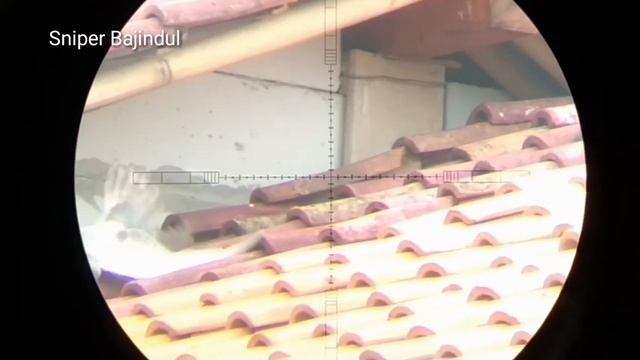 Test Senapan Pcp java pro смотреть онлайн