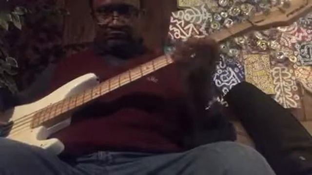 Peavey Fury: Just a Little Funk смотреть онлайн