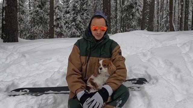 О ЗАПОВЕДНЫХ ГОРНОЛЫЖКАХ ПОДМОСКОВЬЯ ДЛЯ @TVKANT#горныелыжи #сноуборд #зима смотреть онлайн