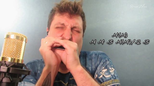 🎶 Bruno Zolini - Boom Boom - Blues Classic (Harmonica Tab - na Gaita com Tablatura) смотреть онлайн