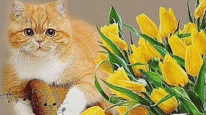 С 8 МАРТА ДОЧЕНЬКА! КРАСИВОЕ ПОЗДРАВЛЕНИЕ С 8 МАРТА! МУЗЫКАЛЬНАЯ ОТКРЫТКА