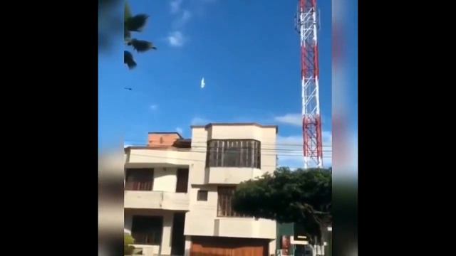 Голубь застыл в небе МИСТИКА смотреть онлайн