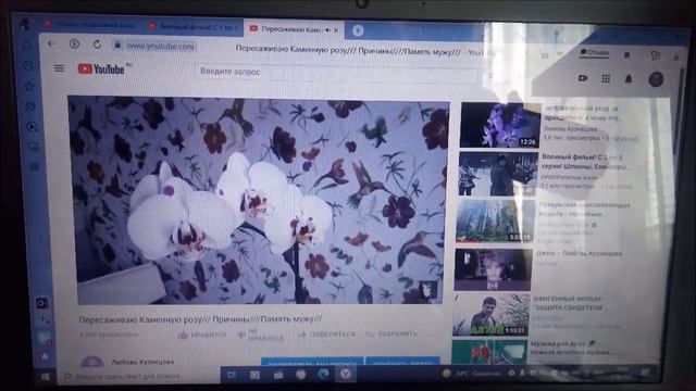 Эстафета от Татьяны Цветочный рай//Дорогие сердцу орхидеи! смотреть онлайн