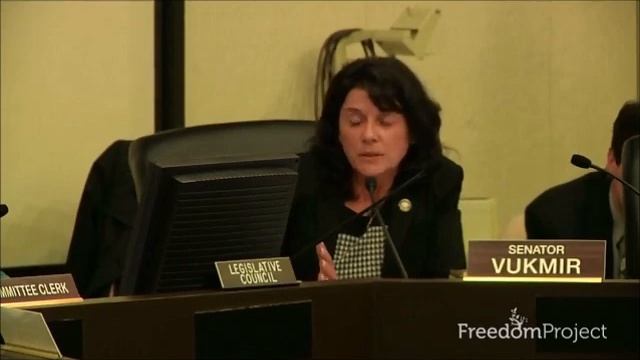 Dr. Sandra Stotsky Testifies Against Common Core in Wisconsin смотреть онлайн